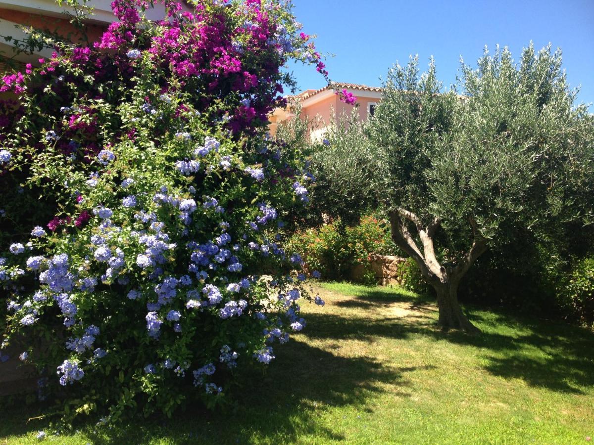 Tavolara Paradise Home Porto San Paolo  Exterior photo