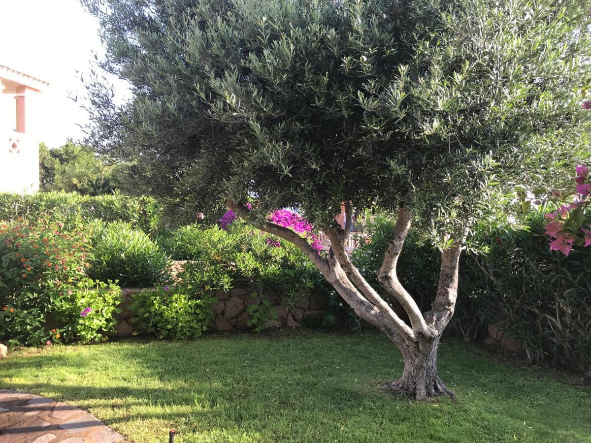 Tavolara Paradise Home Porto San Paolo  Exterior photo
